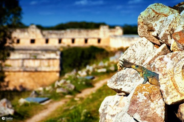  Mayan culture 